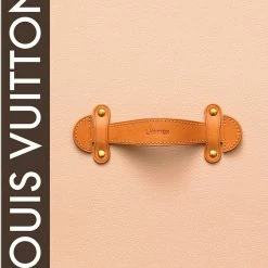 Copper & Plush Louis Vuitton: The Birth Of Modern Luxury Books