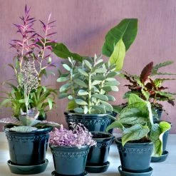 Bergs Potter Copenhagen Plant Pot, Blue 7 Bergs Potter Copenhagen Plant Pot, Blue