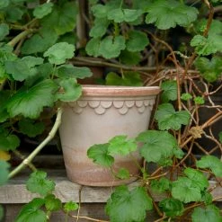 Bergs Potter Copenhagen Plant Pot, Rosa Accessories