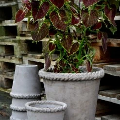 Bergs Potter Emilia Plant Pot, Grey Accessories 7 Bergs Potter Emilia Plant Pot, Grey Accessories