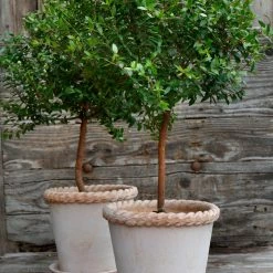 Bergs Potter Accessories Emilia Plant Pot, Rosa 7 Bergs Potter Accessories Emilia Plant Pot, Rosa