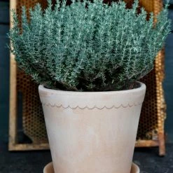 Bergs Potter Accessories Helena Plant Pot, Light