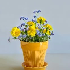 Bergs Potter Simona Plant Pot, Yellow