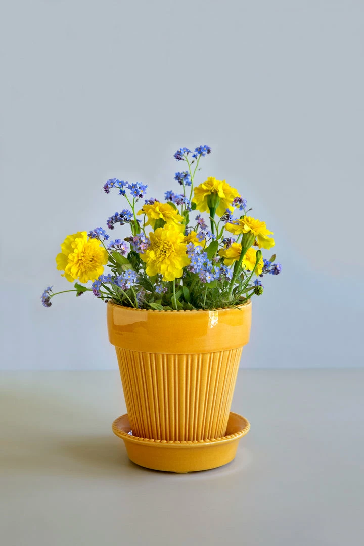Bergs Potter Simona Plant Pot, Yellow 4 Bergs Potter Simona Plant Pot, Yellow