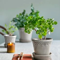 Bergs Potter Copenhagen Plant Pot, Pearl Grey Accessories