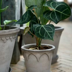 Bergs Potter Accessories Elizabeth Plant Pot, Grey