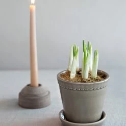 Bergs Potter Helena Plant Pot, Pearl Grey Accessories