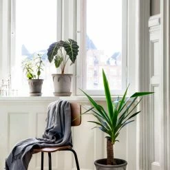 Bergs Potter Accessories Elizabeth Plant Pot, Grey 7 Bergs Potter Accessories Elizabeth Plant Pot, Grey