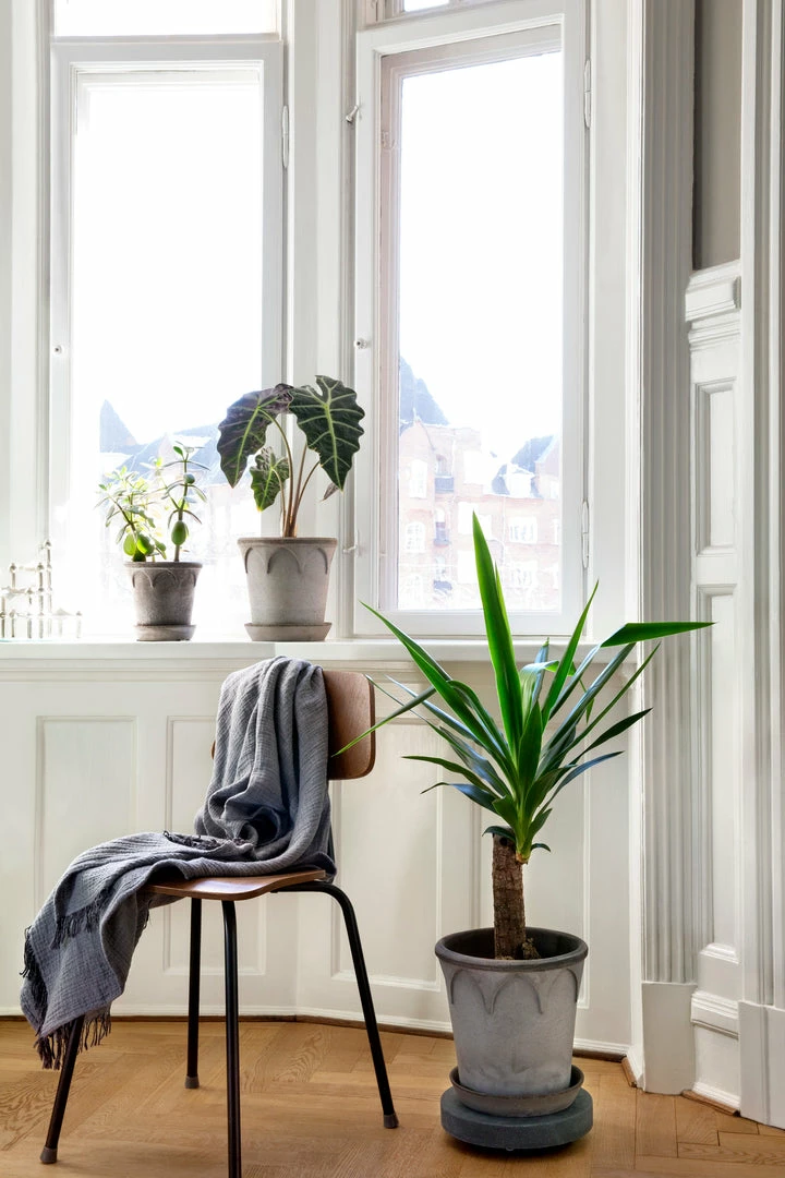 Bergs Potter Accessories Elizabeth Plant Pot, Grey 5 Bergs Potter Accessories Elizabeth Plant Pot, Grey